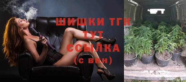 СК Алзамай
