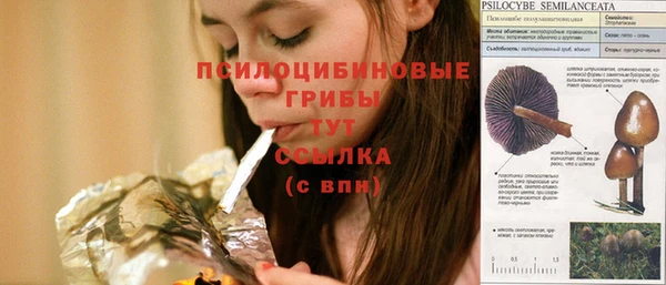 СК Алзамай