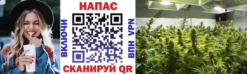 как найти наркотики  Королёв  darknet наркотические препараты  Бошки Шишки SATIVA & INDICA 